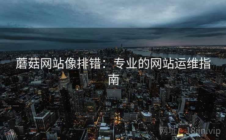 蘑菇网站像排错：专业的网站运维指南