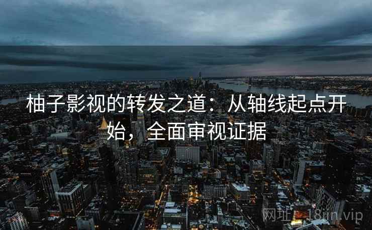柚子影视的转发之道:从轴线起点开始,全面审视证据 柚子影视的转发之道:从轴线起点开始,全面审视证据